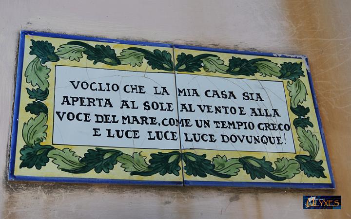 luce luce luce.JPG